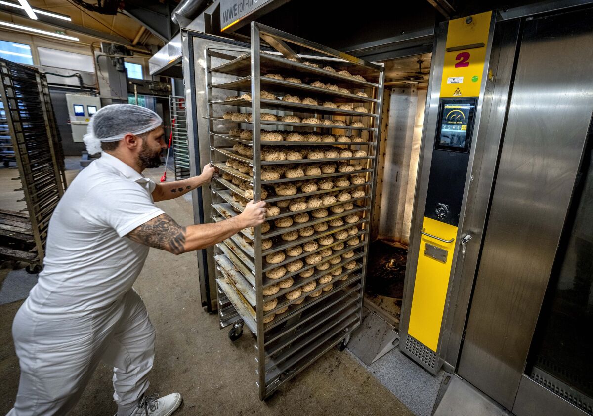 A bakery worker pushes a rack of bread rolls into an oven.