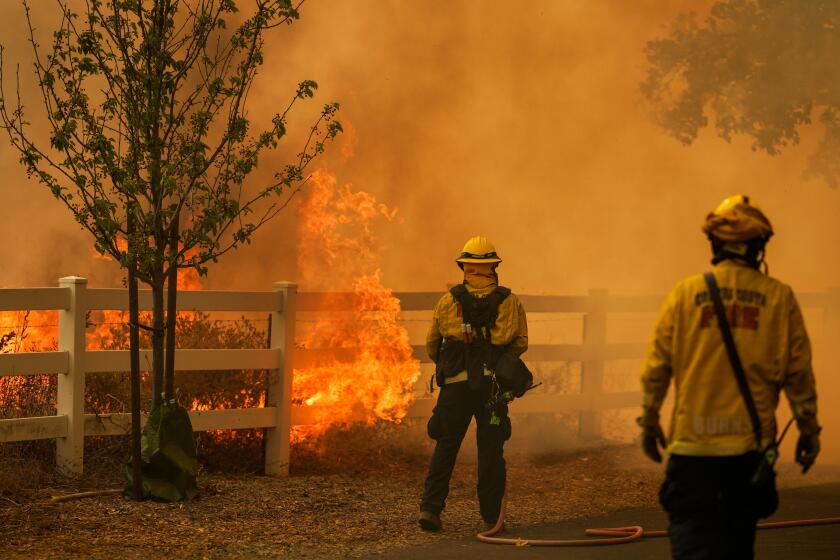 VACAVILLE, CA - AUGUST 19: Firefighters battle fires along Lyon road during the Hennessy Fire on Wednesday, Aug. 19, 2020 in Vacaville, CA. (Kent Nishimura / Los Angeles Times)