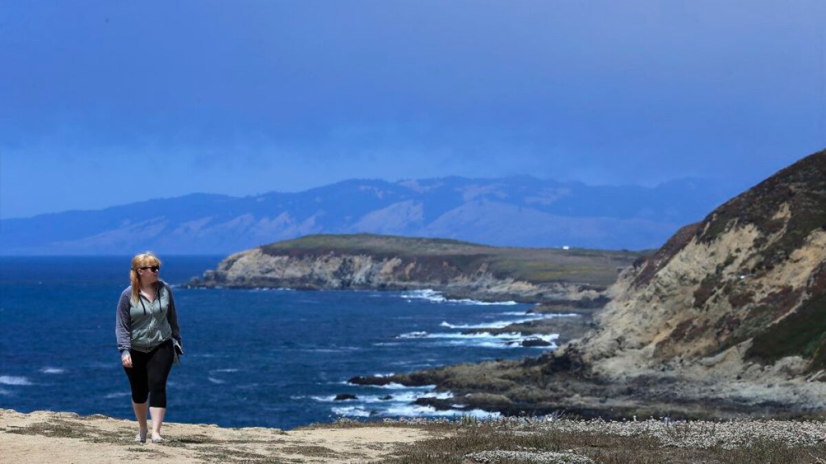 A visitor hikes along a bluff at Bodega Head in Sonoma County.