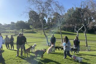Chula Vista opens a new fenceless, off-leash dog park at Hilltop Park on Feb. 14, 2024.