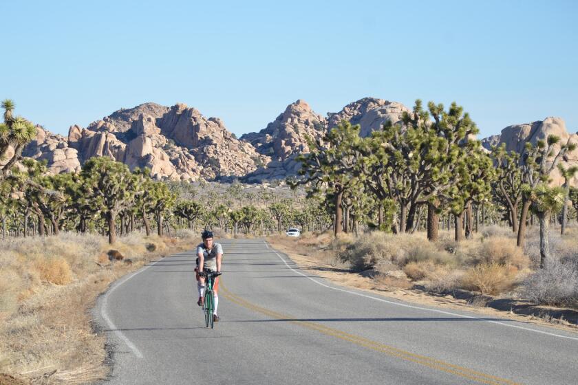 Cyclist rolls along Park Boulevard, the main artery of Joshua Tree National Park. At the corner of Park and Keys View road stands Cap Rock.