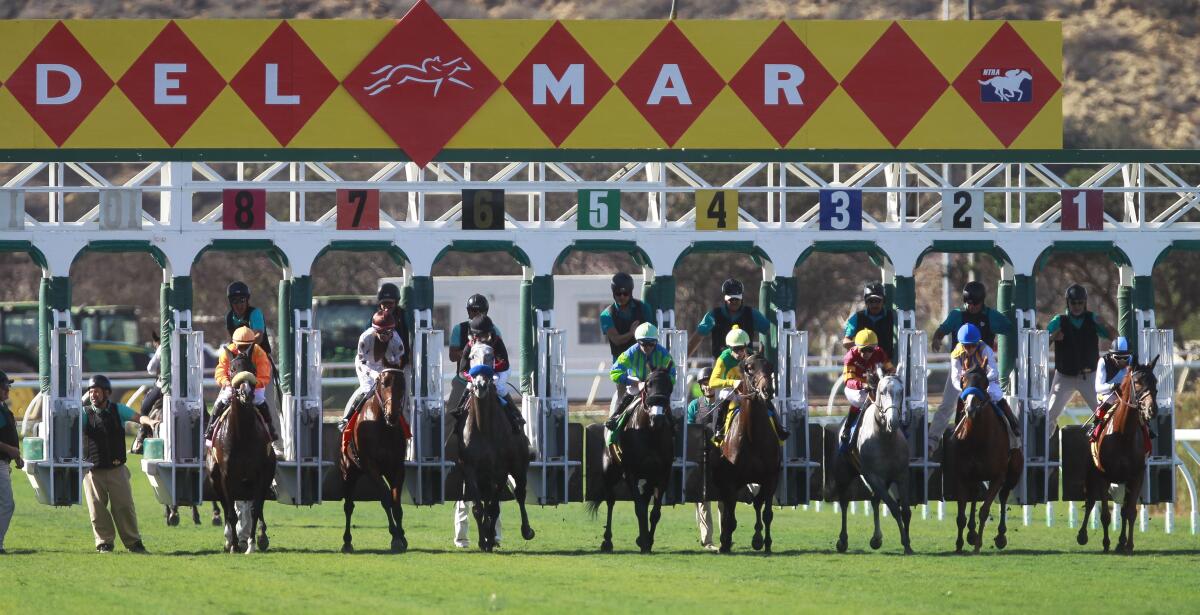 Horses come out of the gates at the start of the third race on opening day of the 2018 fall meet at the Del Mar racetrack