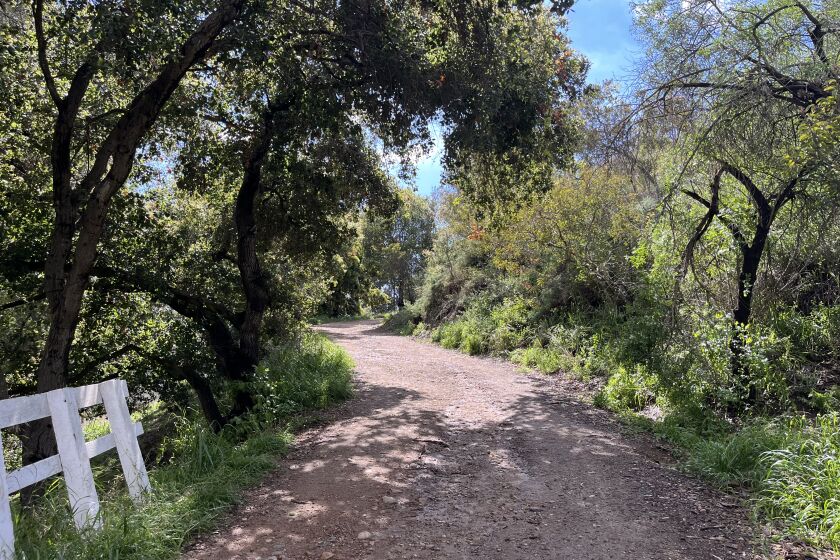 Will Rogers State Historic Park in the Santa Monica Mountains looks beautiful after recent rainfall.