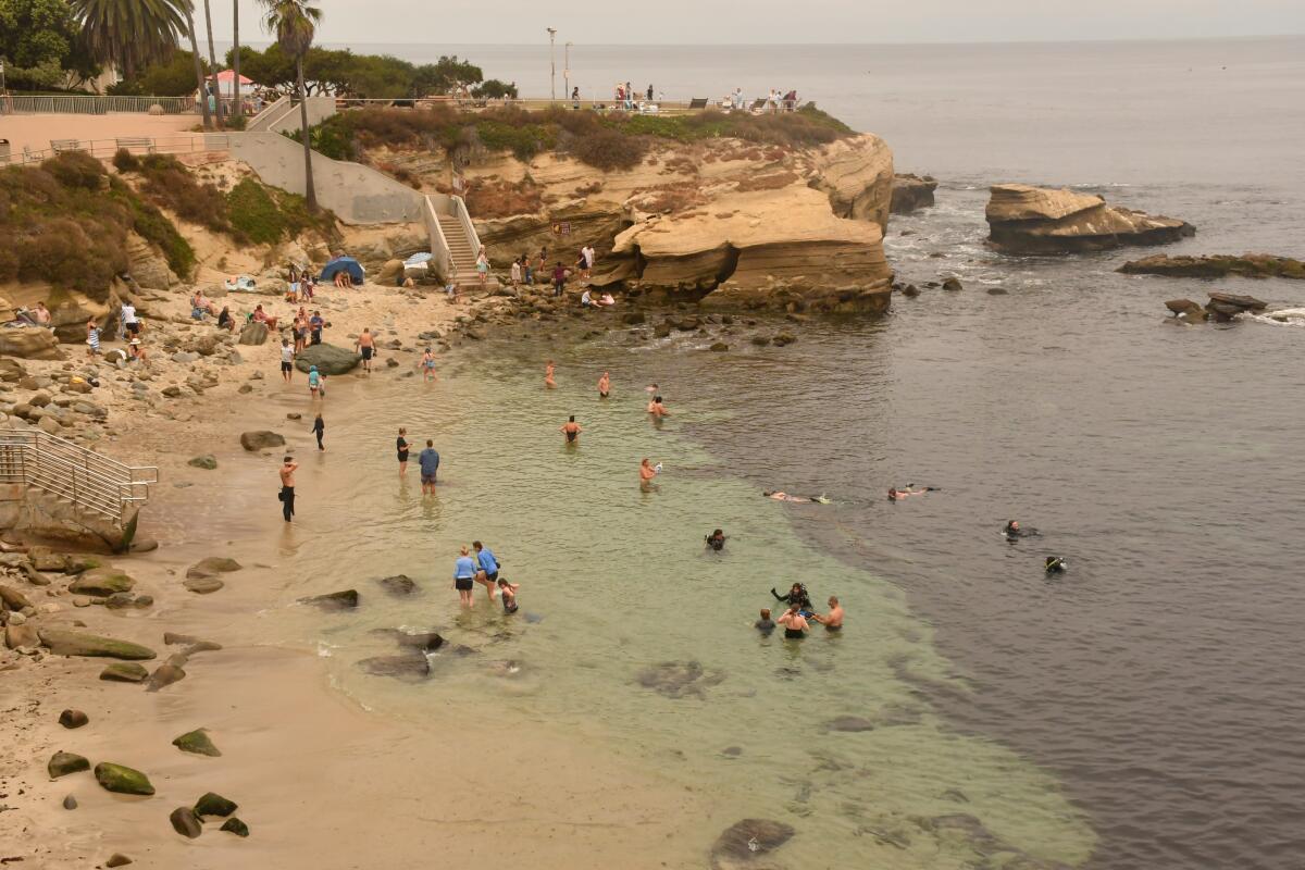 La Jolla Cove in San Diego