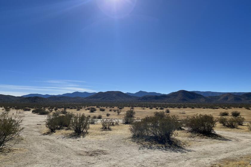 A view looking west at Blair Valley in the Anza-Borrego Desert State Park.