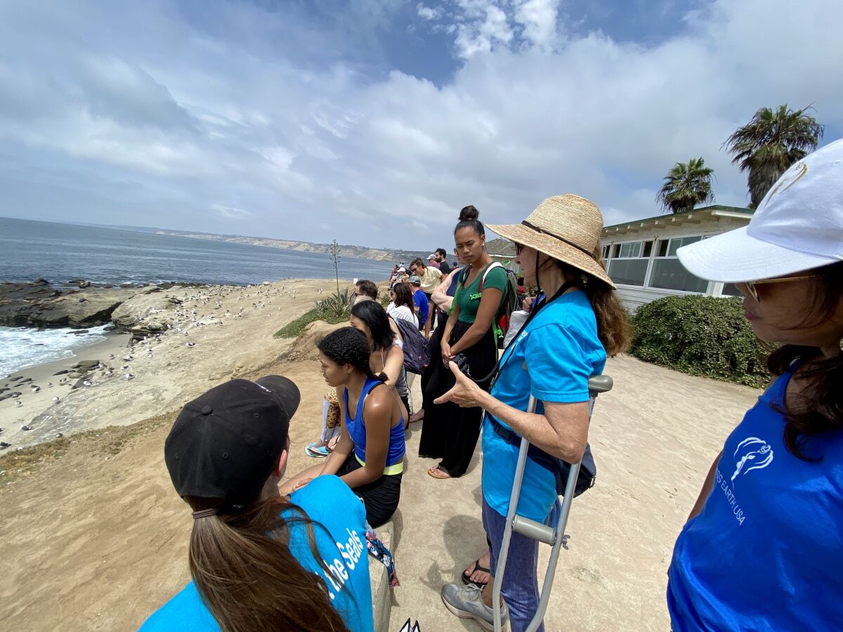 Miss Earth USA participants learned about local efforts to protect sea lions while observing the animals at Point La Jolla.