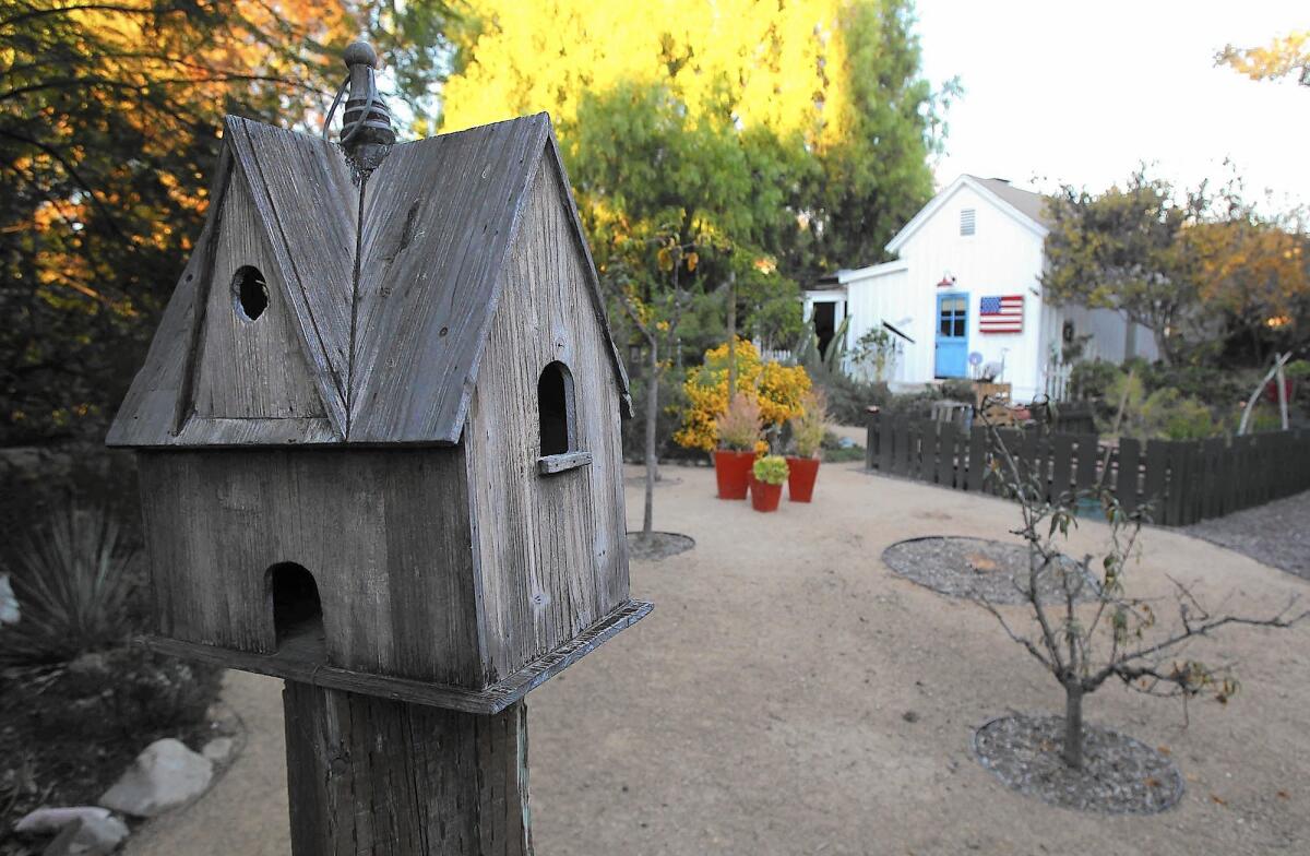 A sturdy birdhouse in the Goin Native Therapeutic Gardens.