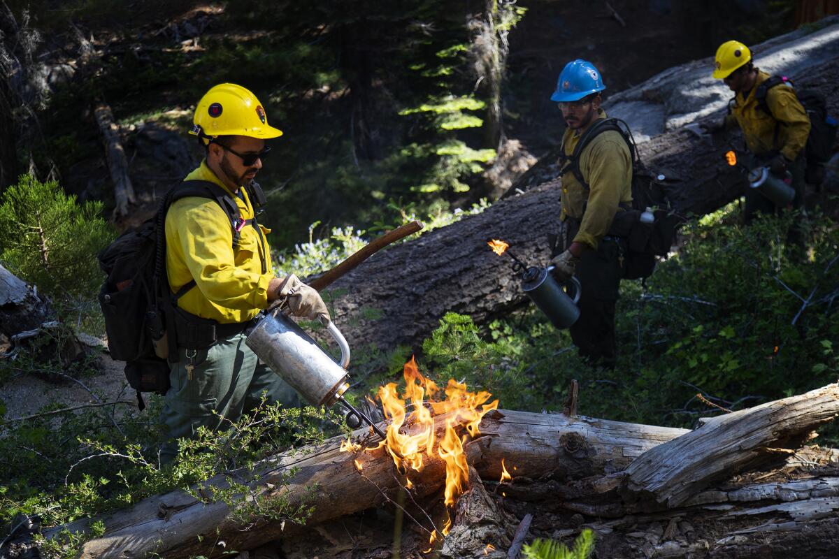 Prescribed burning in Sequoia National Park