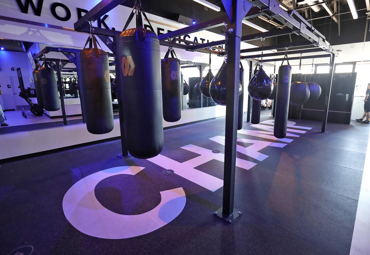 The main boxing floor of the new Mayweather Boxing + Fitness studio in Newport Coast.