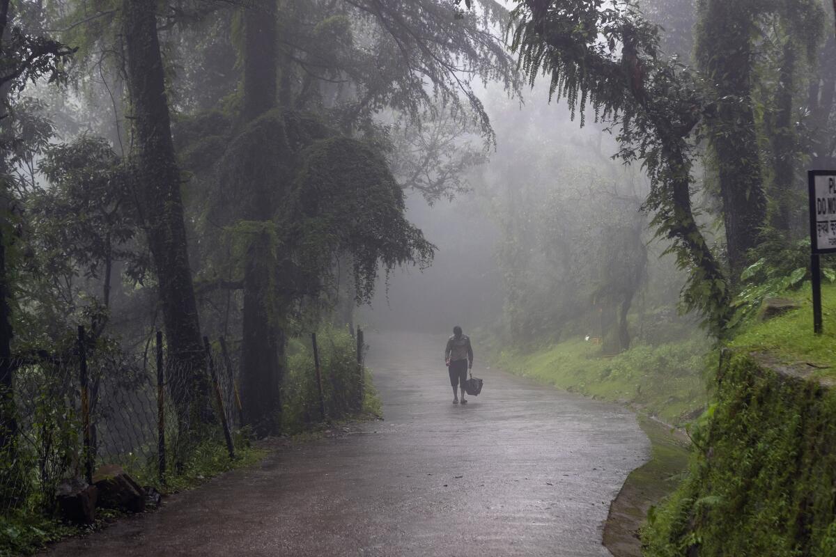 A man walks through a fog-covered street in Dharmsala, India. The Himalayan region is seeing heavy rains and thick fog.