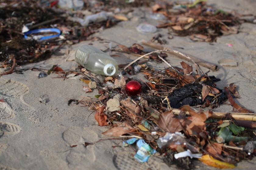 Seal Beach, CA - January 11: Trash and debris covers a portion of the beach after recent storms brought debris-flows and flooding across parts of Seal Beach near the San Gabriel River Wednesday, Jan. 11, 2023 in Seal Beach, CA. (Allen J. Schaben / Los Angeles Times)