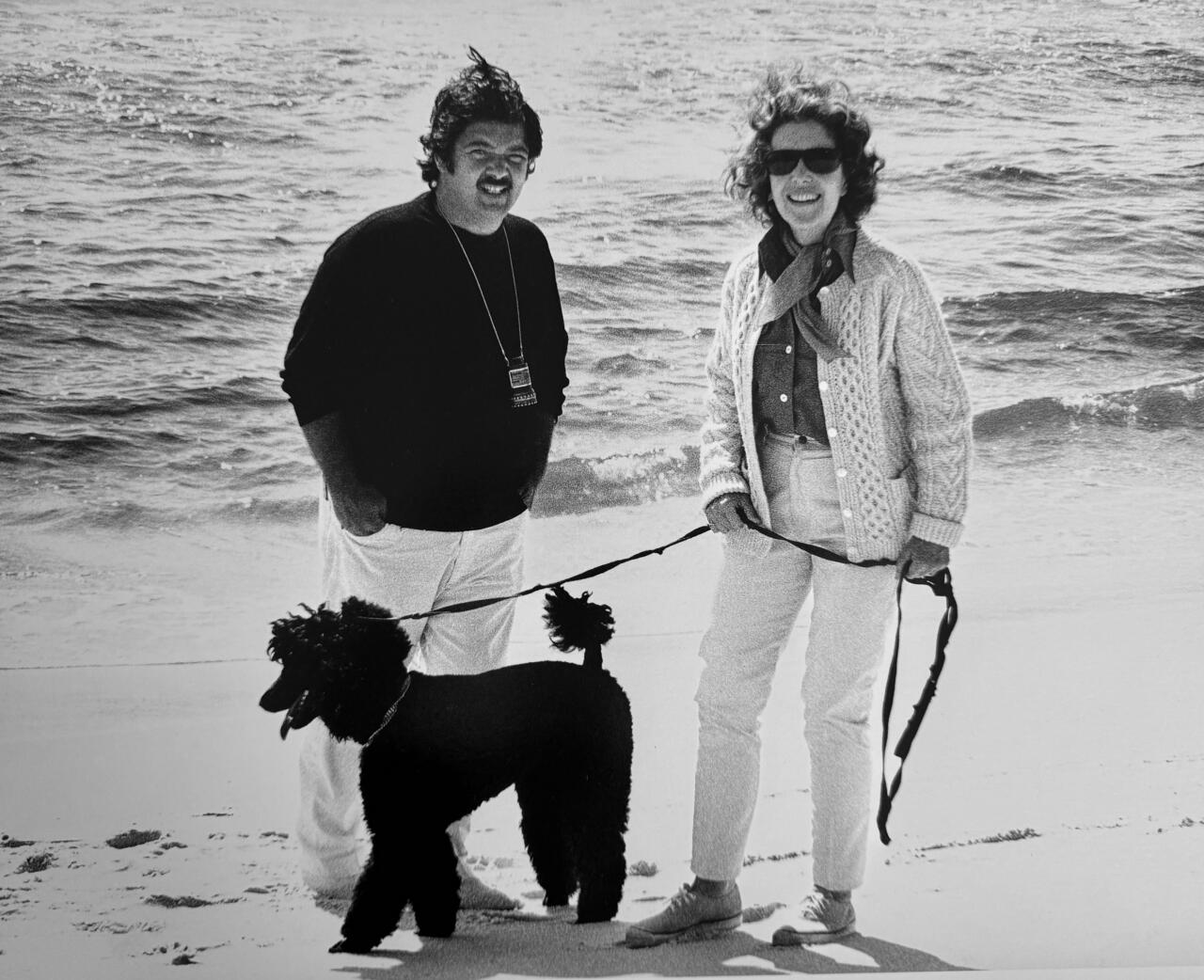 Three people lift a seagull on the beach.