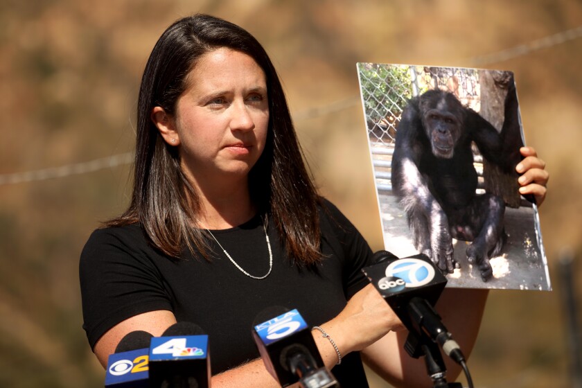 Erika Fleury, program director with North American Primate Sanctuary Alliance