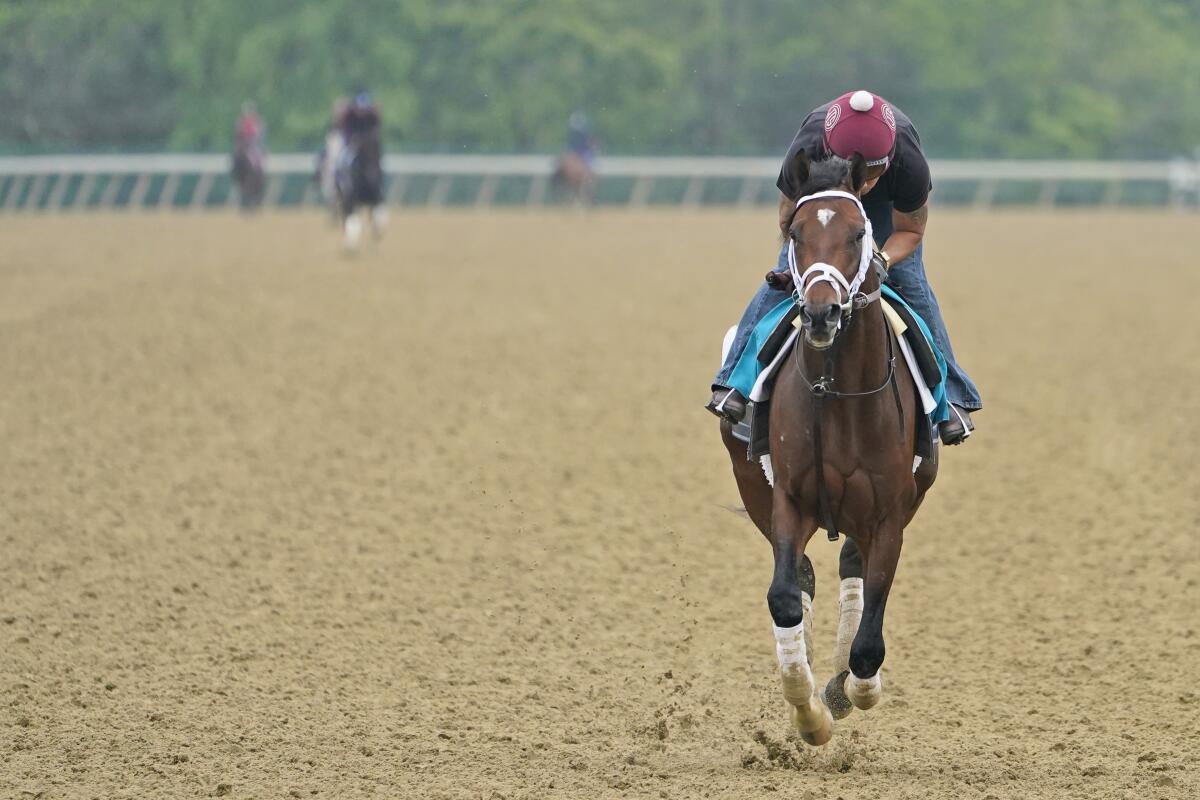 Rombauer trains on Friday at Belmont Park.