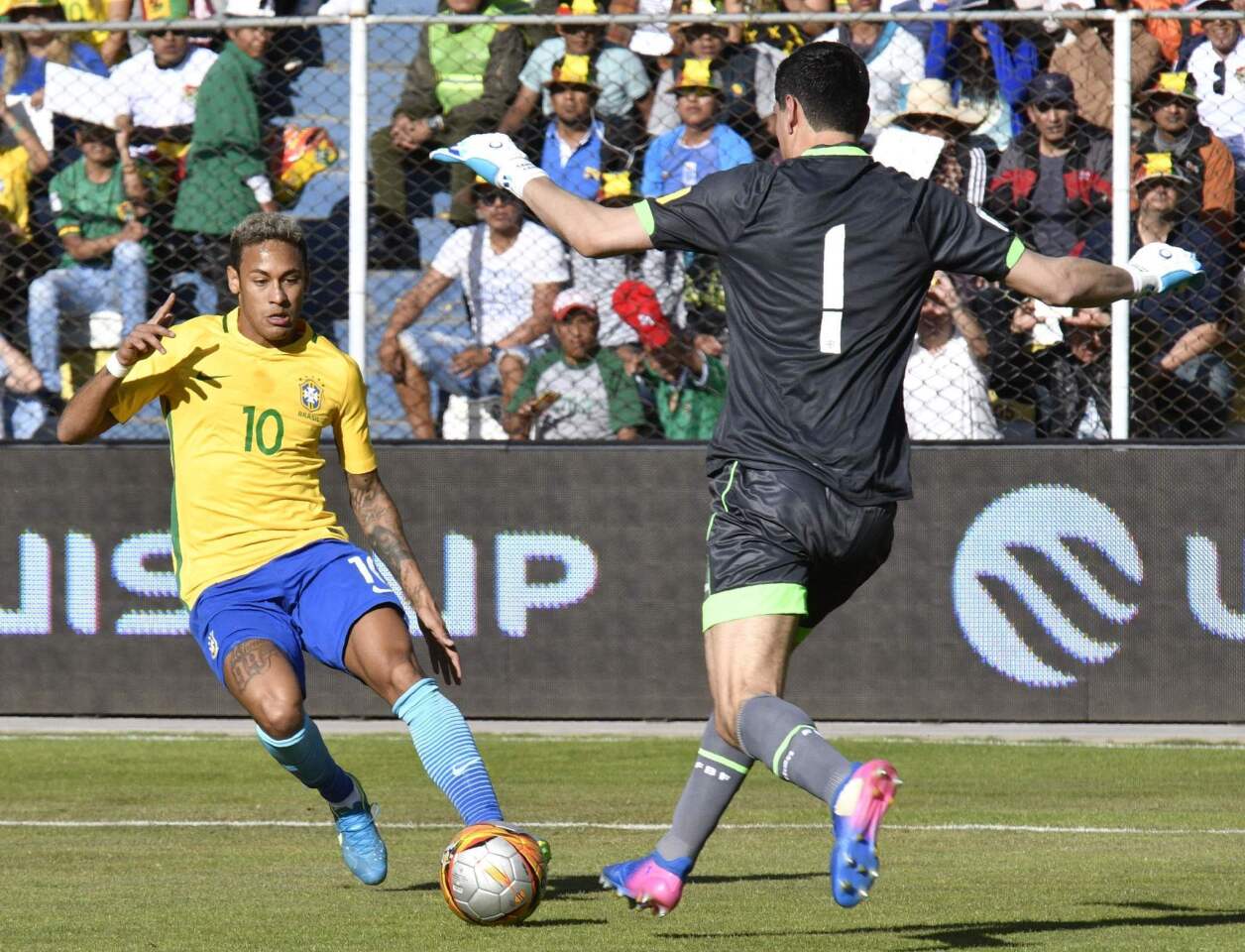 Bolivia vs. Brasil