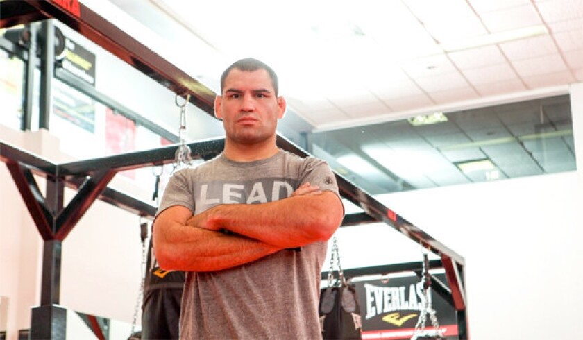 Cain Velasquez Says 3rd Bout With Junior Dos Santos Is For Fight