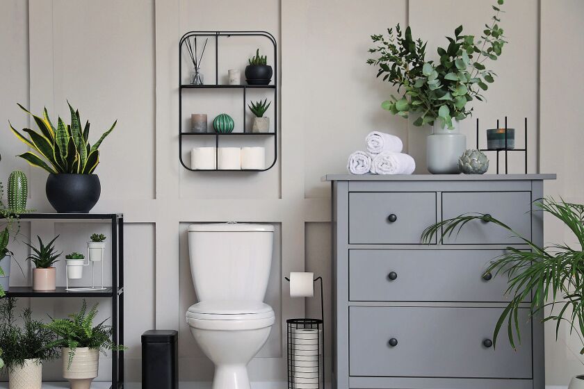 Stylish bathroom interior with a gray chest of drawers and shelves for storage and many beautiful houseplants.
