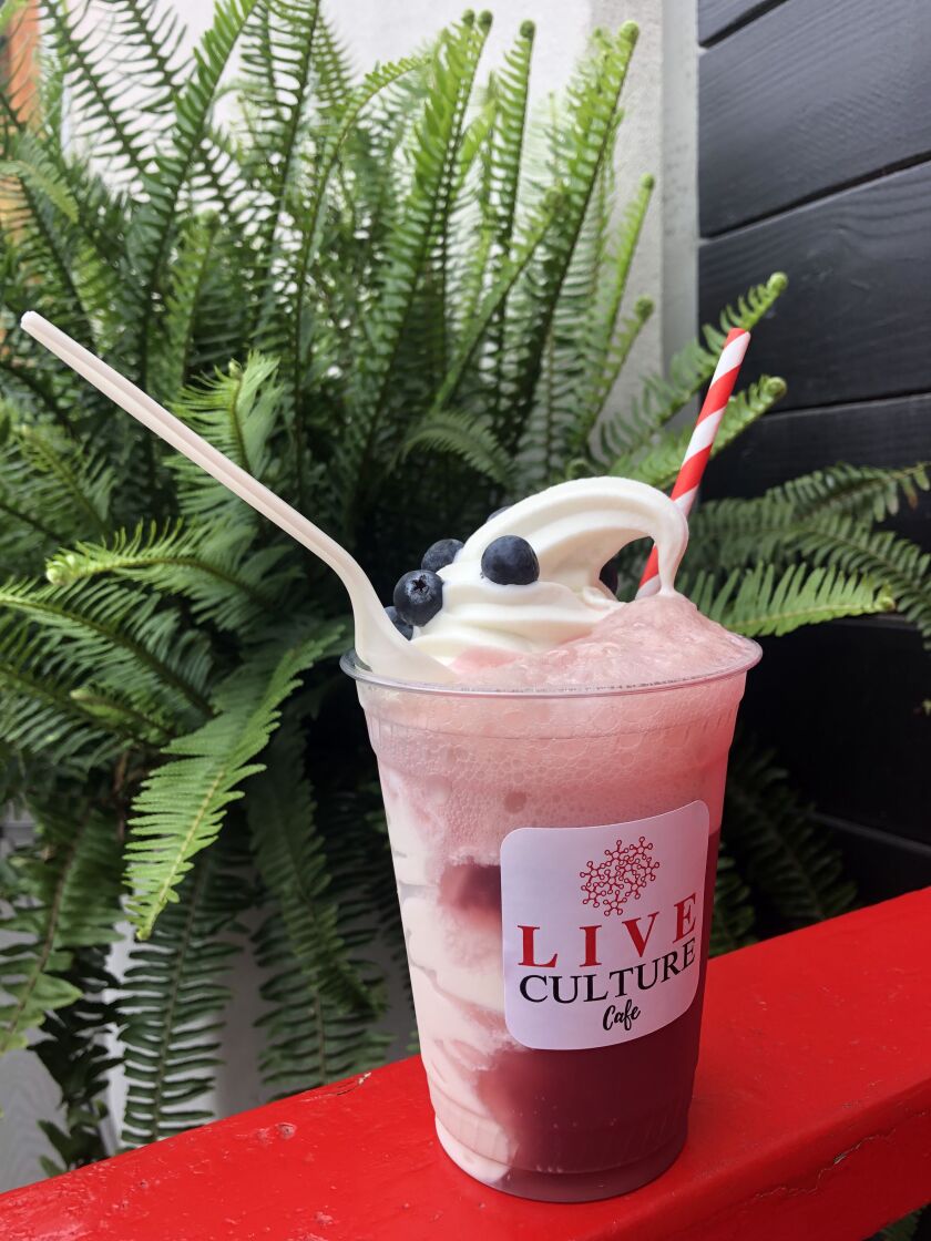 A kombucha fro-yo float at the Live Culture Cafe in Leucadia.