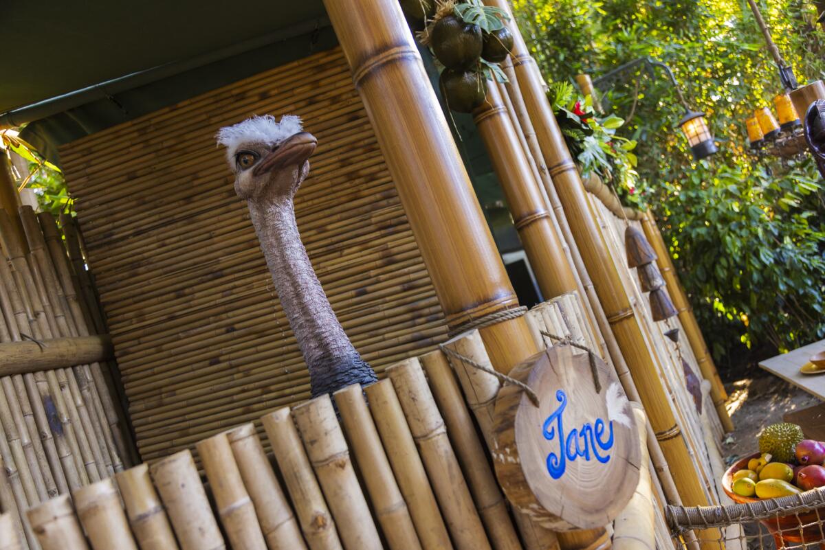 An audio-animatronic ostrich peers out over a bamboo fence at Disneyland's Adventureland Treehouse. 