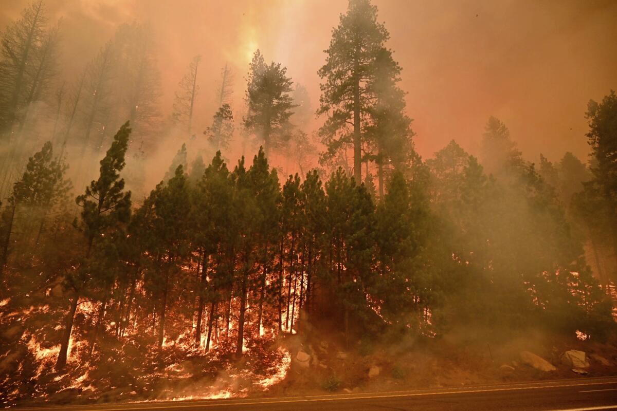 The Caldor Fire burns on both sides of Highway 50 about 10 miles east of Kyburz, Calif., on Thursday, Aug. 26