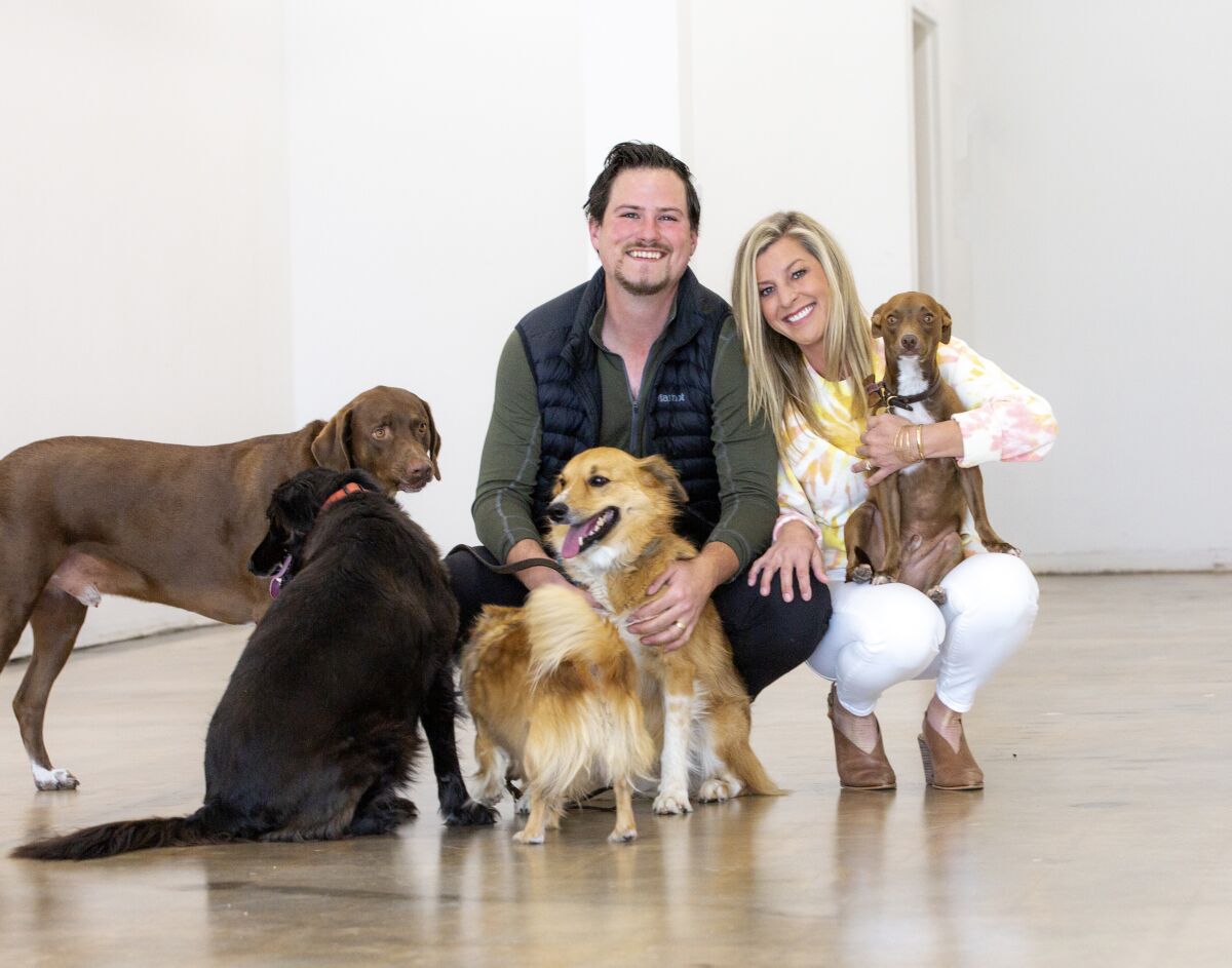 Cody and Kensey Decker are shown with their five dogs.