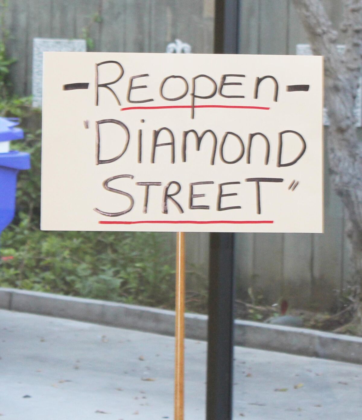 A sign brought to the meeting by someone advocating for Diamond Street to be reopened to vehicle traffic.