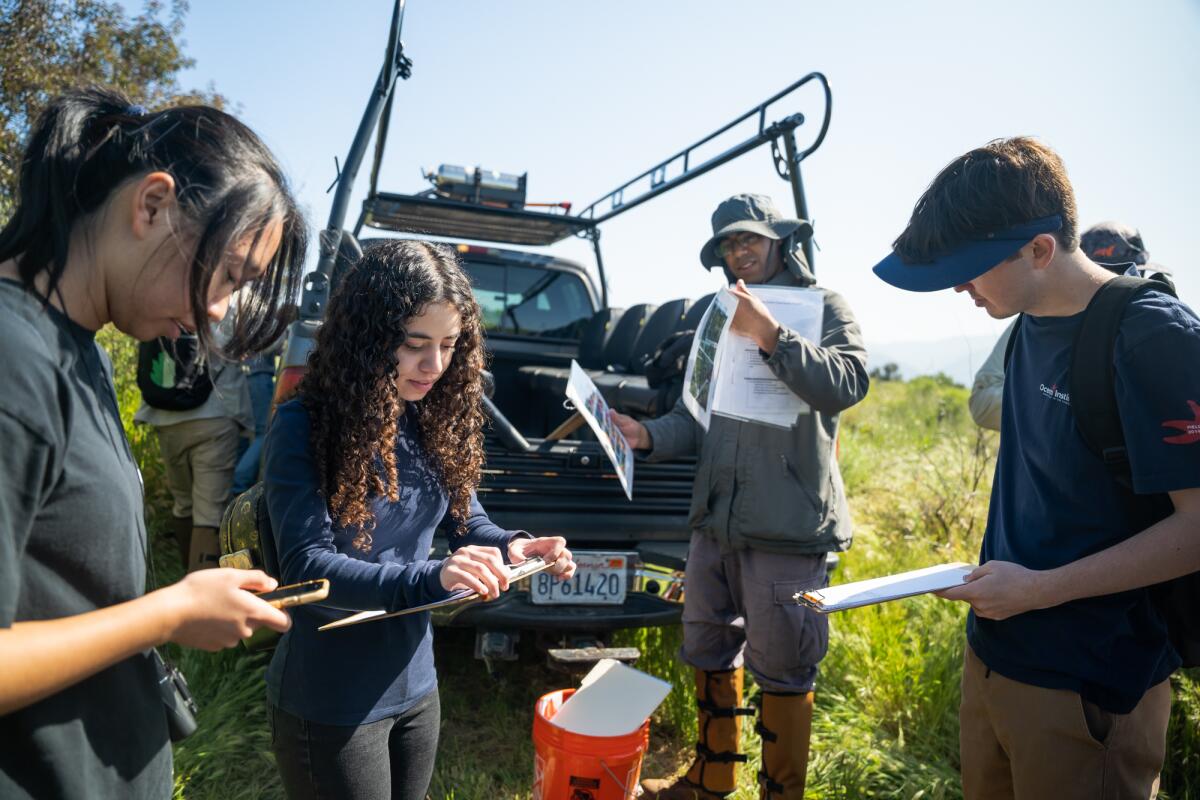 Students prepare to head out to do field work in Limestone Canyon in Silverado as part of the fire ecology internship.