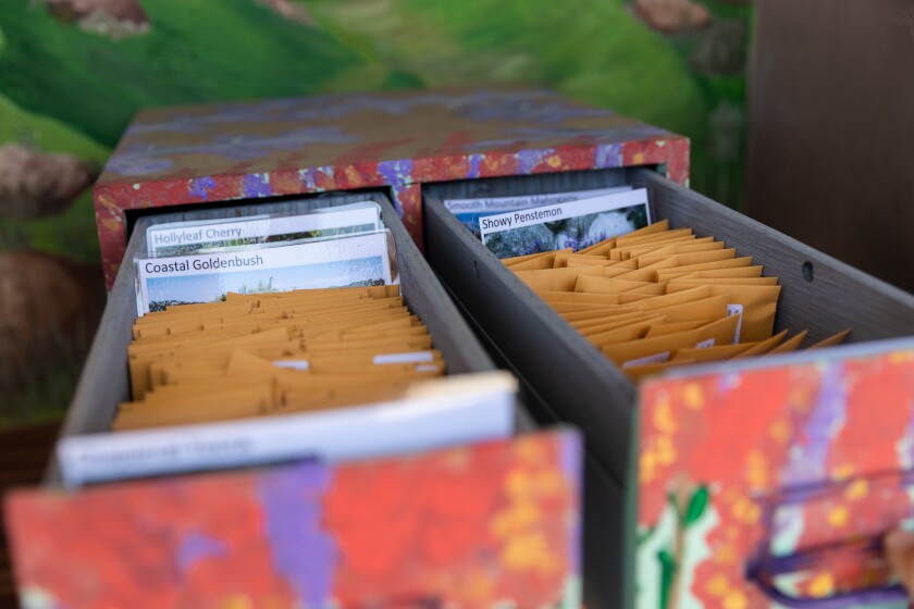 une boîte à tiroirs peinte de couleurs vives, remplie de petites enveloppes et de cartes de plantes