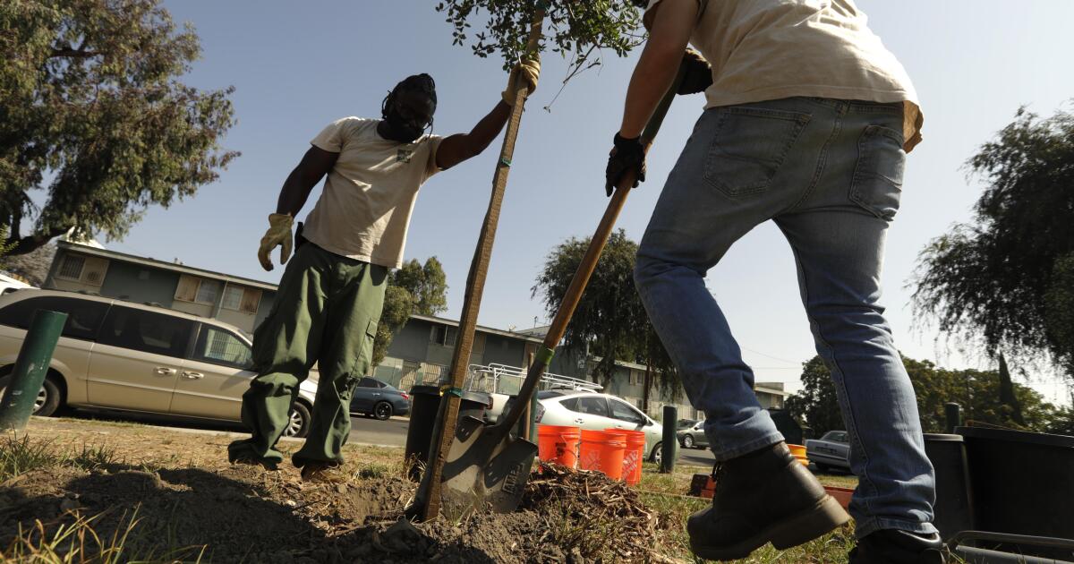 Study reveals attitudes about lack of trees in South Los Angeles