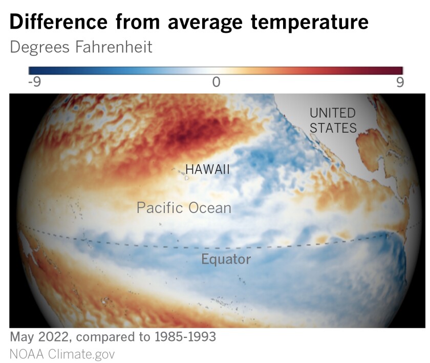 Image of cool sea surface temperatures in the equatorial Pacific.