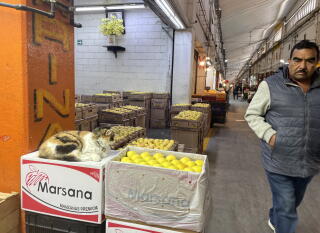 A man walks by boxes of citrus displayed in a wholesale market.