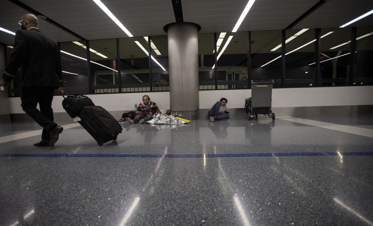 Seth Tom Davis, 30, seated at left with his dog, Poppy, on March 23 at LAX.