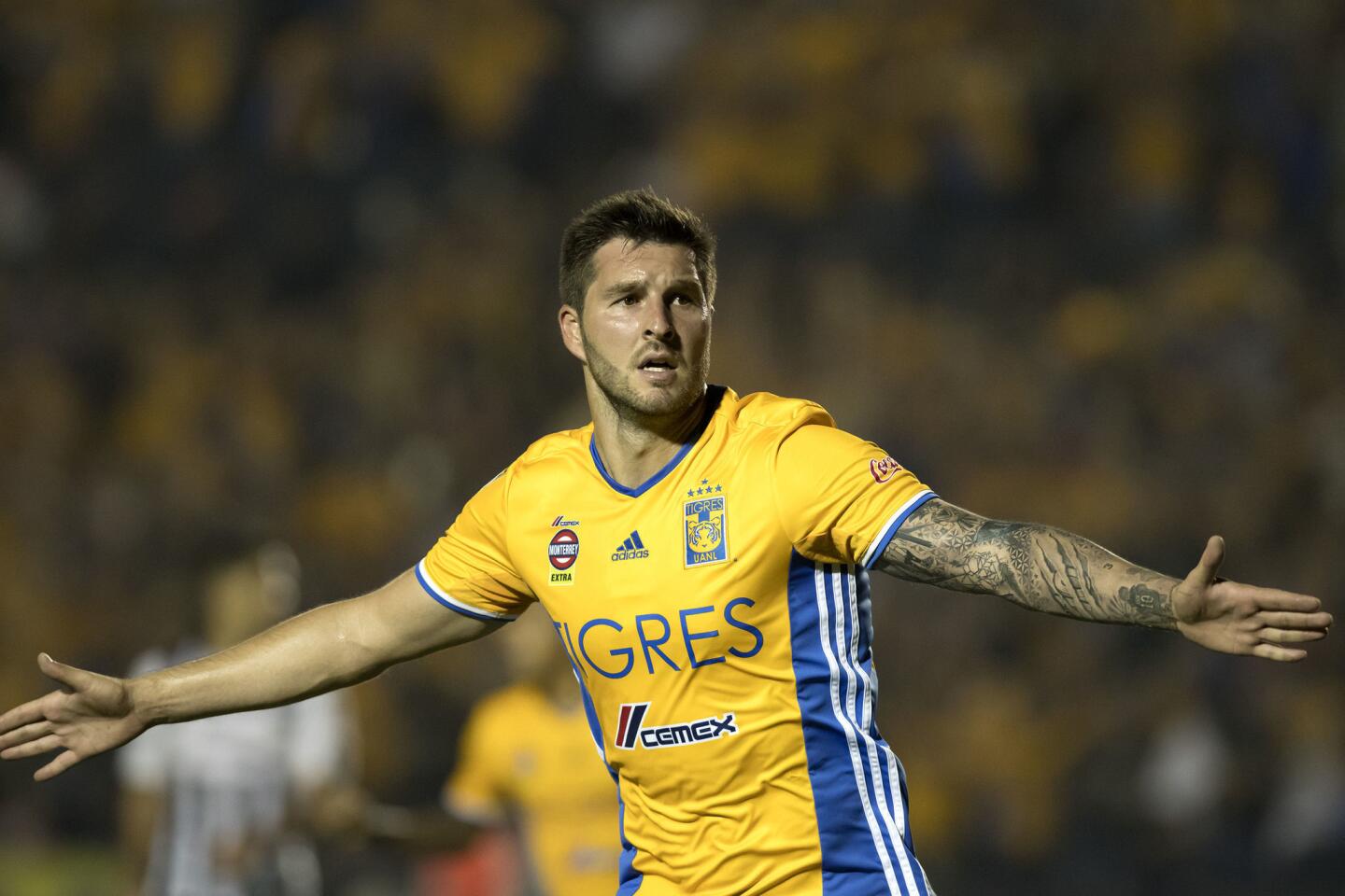 TIGRES - RAYADOS