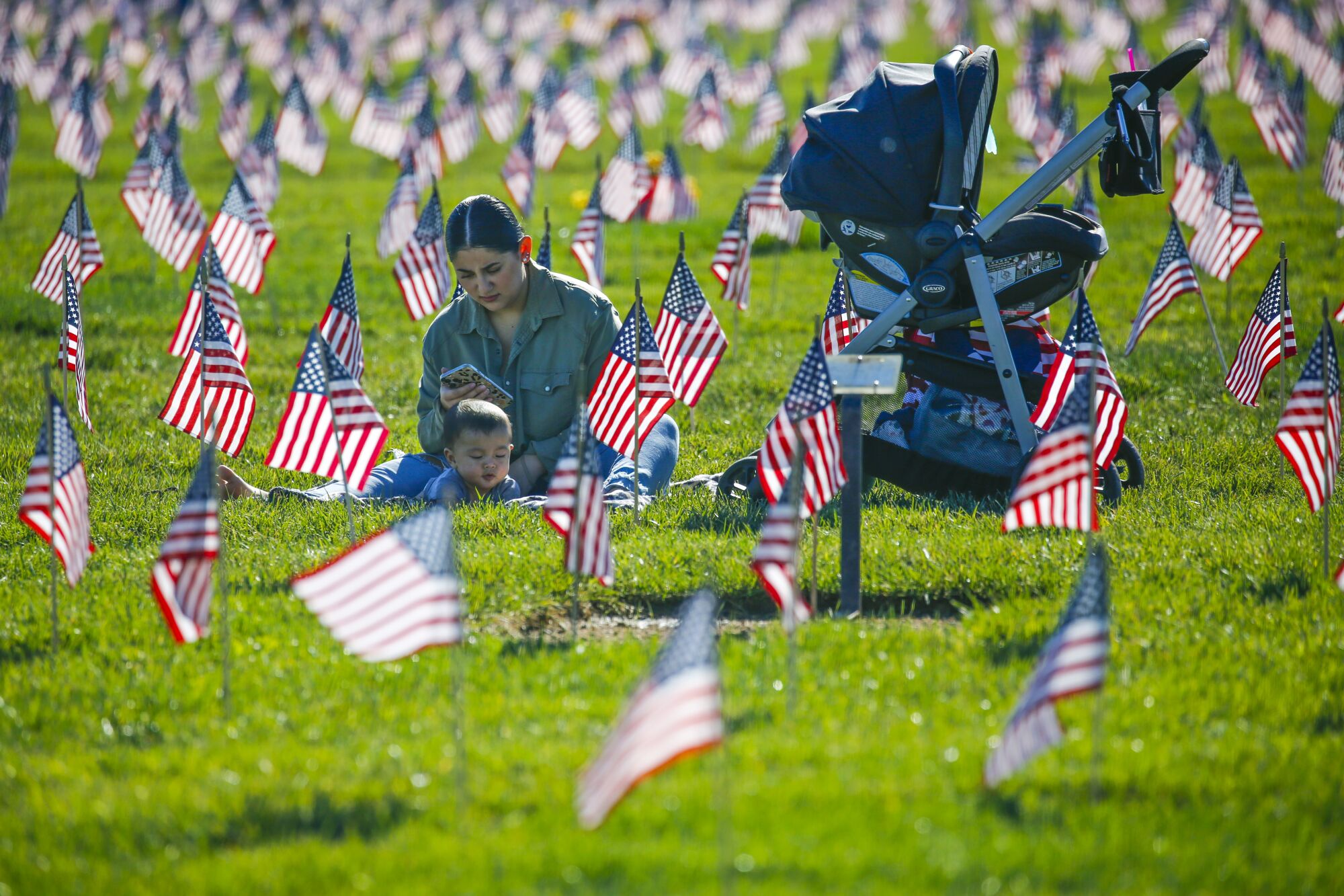 A woman and a baby sit amid flags planted in the grass