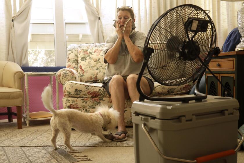 Diane McLindon and her dog Frankie, try and stay cool in their trailer.