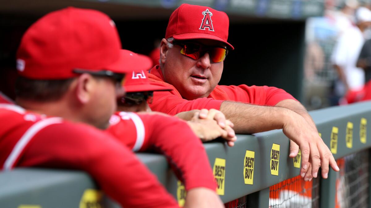 Angels Manager Mike Scioscia plans to keep the same late-game approach to defensive replacements in the final regular-season series at Texas.