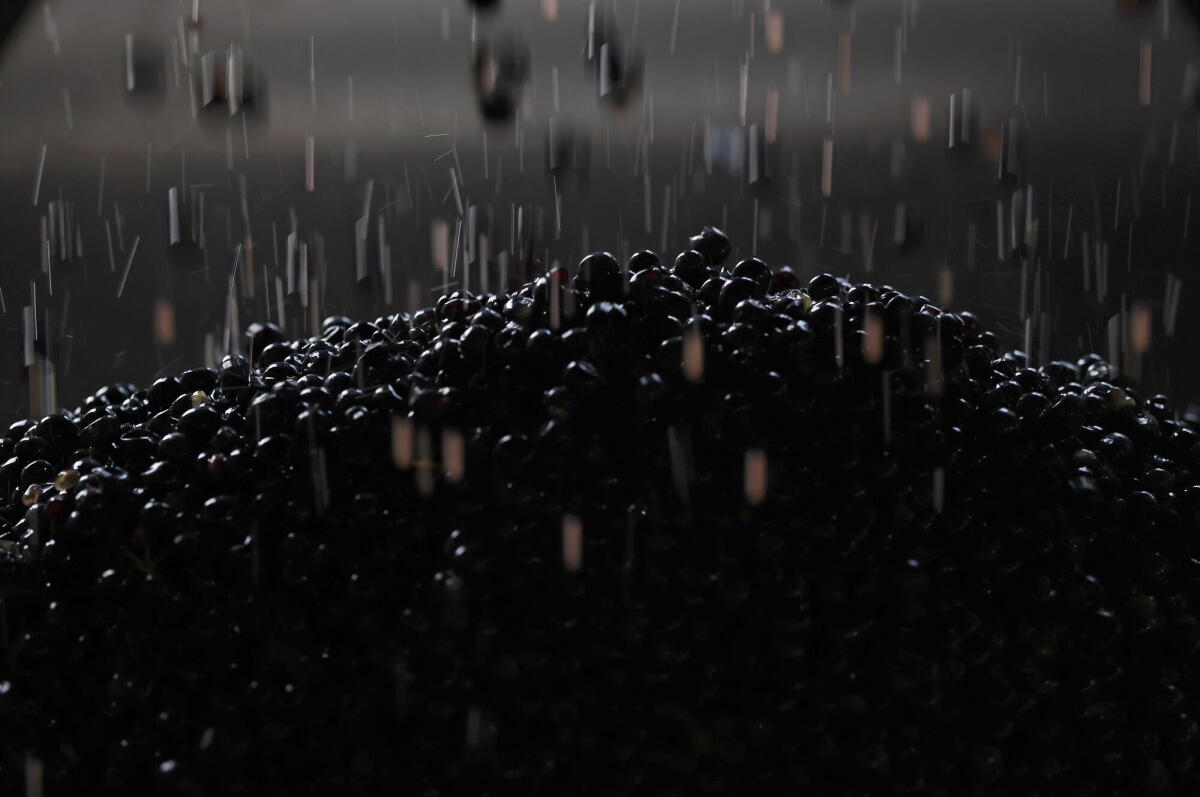 Winemakers with too much product may unload it by selling it in bulk to be bottled by others.