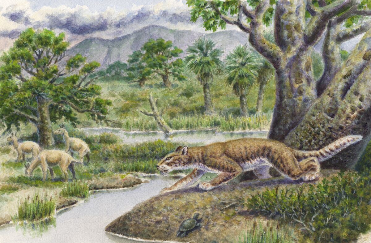 An artist's depiction of the newly discovered Pangurban egiae cat species.
