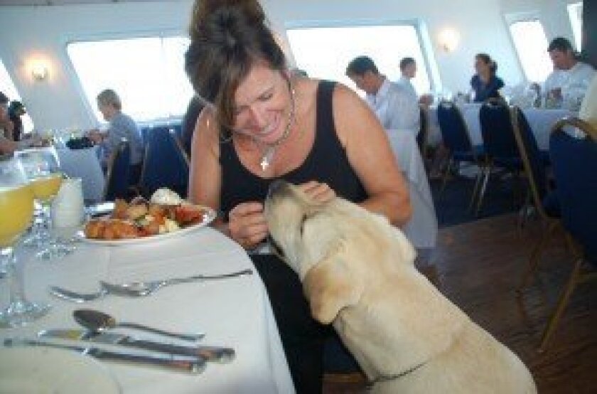 Treats abound for pets and their owners on the Bow Wow Brunch Cruise from Hornblower, which benefits the Helen Woodward Animal Center in Rancho Santa Fe.