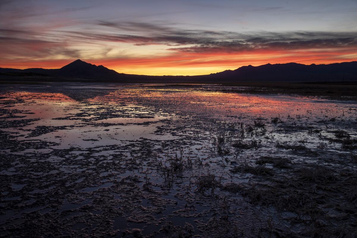 Sunset reflects light off the shallow waters of Grimshaw Lake in Tecopa, Calif.