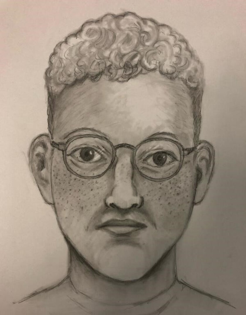 Sketch of man suspected of attempting to lure girl into his Toyota Prius on Feb. 28 near Spring Valley Academy in Casa de Oro