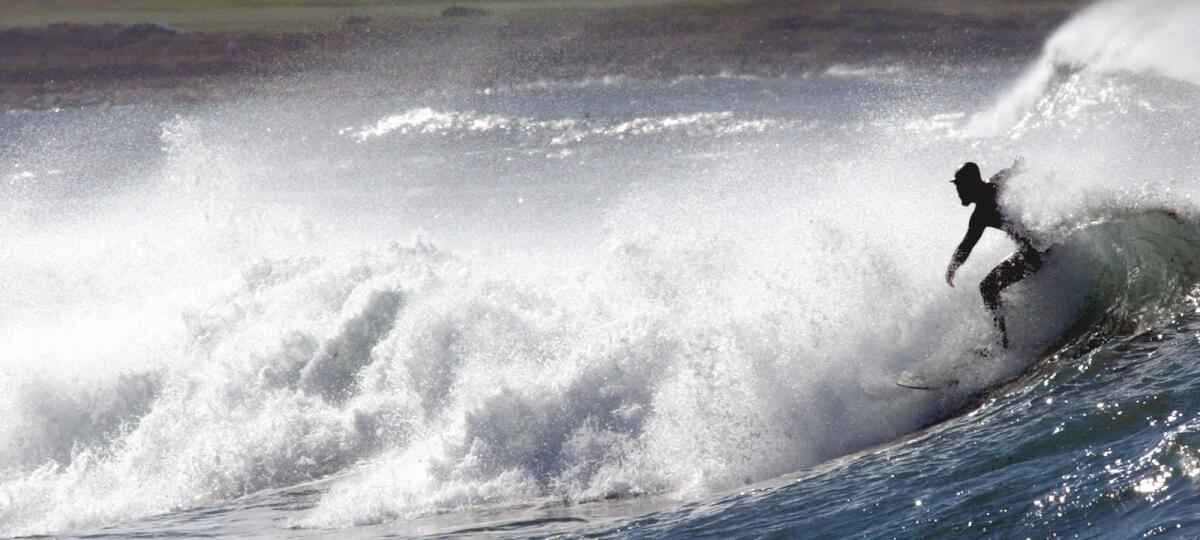 A surfer moves through a wave off Asilomar Beach in Pacific Grove. In 1995, a body was found floating in the water at Asilomar Beach that was ultimately identified as that of a missing teen.