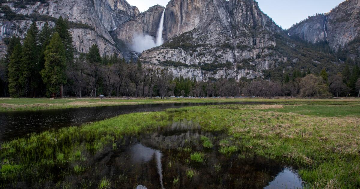 Gelecek yaz Yosemite’ye mi gidiyorsunuz? Rezervasyon yaptırsan iyi olur
