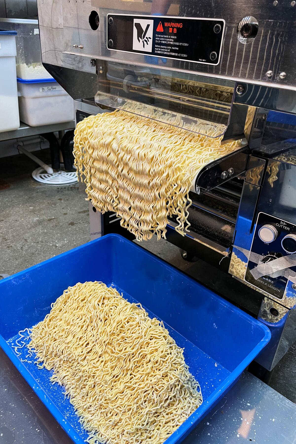 A vertical photo of a machine outputting wavy fresh ramen noodles, which drop into a bucket below.