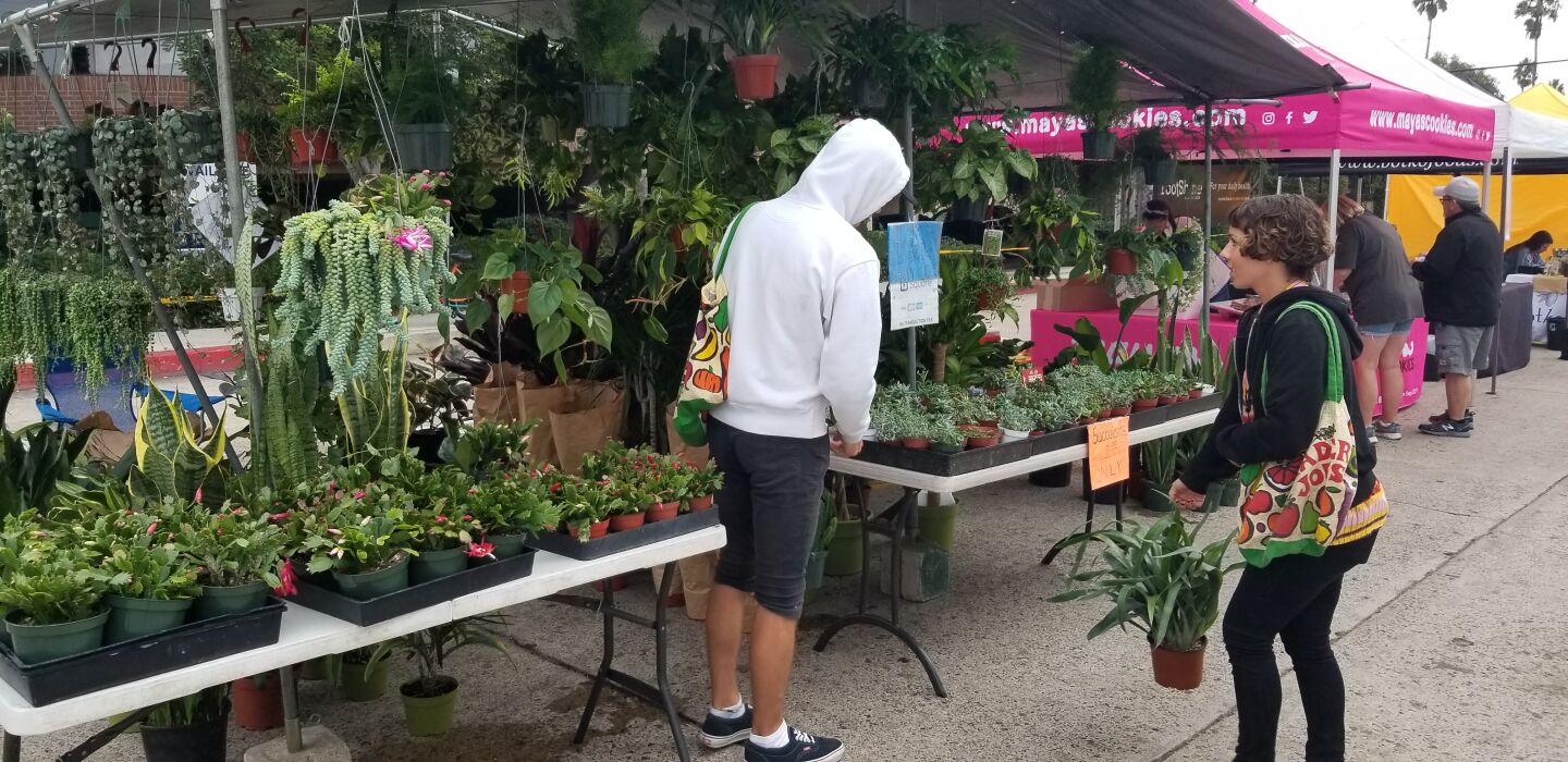 Some farmers' market customers stop to buy plants from Jessi Foliage & Plants.