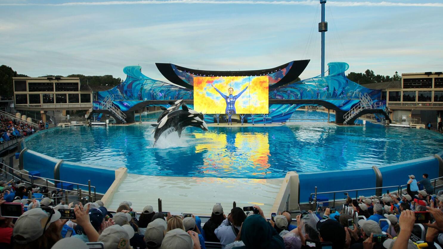 Seaworld debuts record-setting new ride in San Antonio