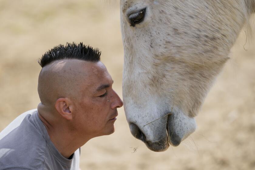 Zeljko Ilicic kisses a horse in the Old Hill, sanctuary for horses in the town of Lapovo, in central Serbia, Wednesday, April 3, 2024. The 43-year-old Serbian man has set up the only sanctuary for horses in the Balkan country, providing shelter and care for dozens of animals for nearly a decade. Around 80 horses have passed through Ilicic's Staro Brdo, or Old Hill, sanctuary since it opened in 2015. (AP Photo/Darko Vojinovic)