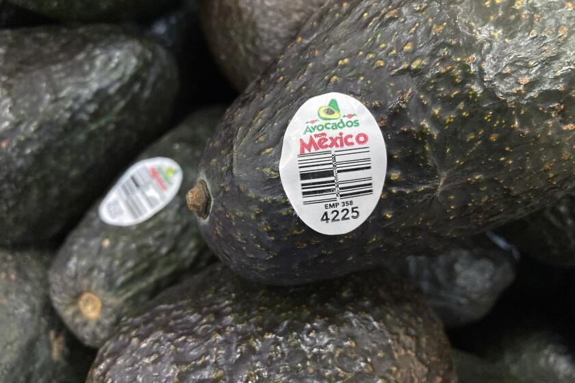 FILE - Avocados from Mexico are for sale at a grocery store in Lyndhurst, New Jersey, Feb. 17, 2022. The U.S. government has temporarily suspended inspections of avocado and mango shipments, the U.S. ambassador to Mexico said Tuesday, June 18, 2024, after two employees of the United States Agriculture Department were assaulted and temporarily held by assailants in the Mexican state of Michoacan. (AP Photo/Ted Shaffrey, File)