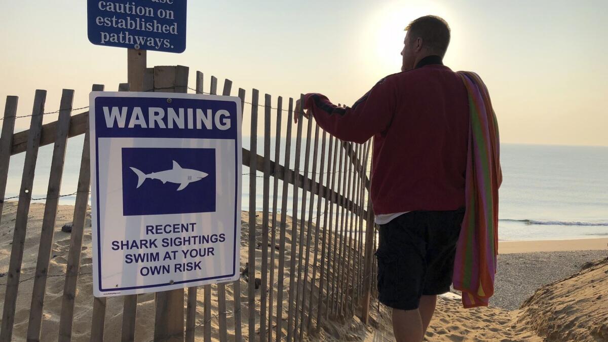 Steve McFadden of Plattsburgh, N.Y., visits Long Nook Beach in Truro, Mass., last month amid heightened warnings of sharks.