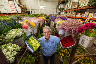A man with glasses, in a blue shirt, holds a bouquet of cream-colored roses and one of red roses, flanked by racks of flowers